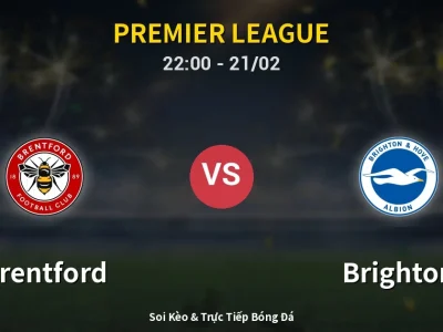 🔴 Trực Tiếp: Brentford 0-0 Brighton – Link Xem Premier League (Full HD)