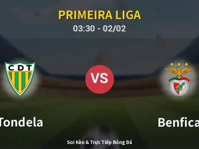 Kết Quả: Tondela 0-0 Benfica – Highlight & Bàn Thắng | Primeira Liga