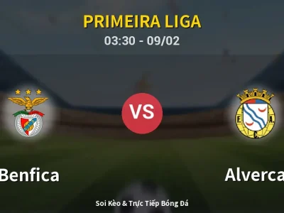 Kết Quả: Benfica 2-1 Alverca – Highlight & Bàn Thắng | Primeira Liga
