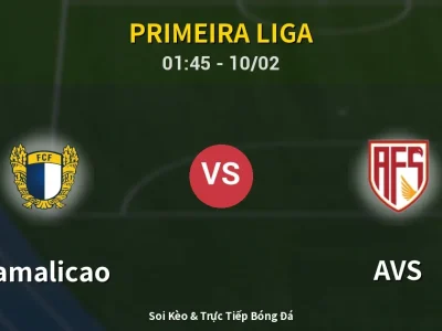 Kết Quả: Famalicao 3-1 AVS – Highlight & Bàn Thắng | Primeira Liga