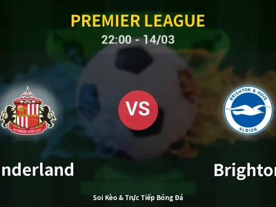 🔴 Trực Tiếp: Sunderland 0-0 Brighton – Link Xem Premier League (Full HD)