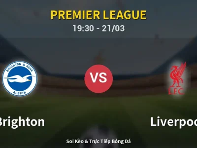 Soi Kèo Brighton vs Liverpool – 19:30 21/03 | Nhận Định, Dự Đoán Tỷ Số
