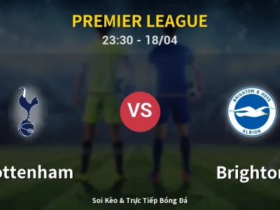 Soi Kèo Tottenham vs Brighton – 23:30 18/04 | Nhận Định, Dự Đoán Tỷ Số