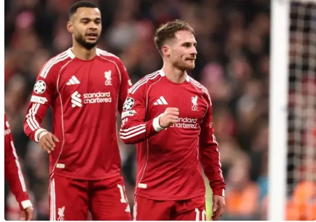 Nhận định Liverpool vs Newcastle (3h00 ngày 12) Chích chòe sợ sân khách 1 Nhận định Liverpool vs Newcastle (3h00 ngày 12) Chích chòe sợ sân khách 1